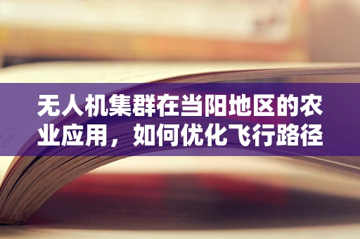 无人机集群在当阳地区的农业应用，如何优化飞行路径以提升灌溉效率？