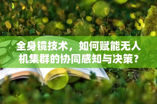 全身镜技术，如何赋能无人机集群的协同感知与决策？