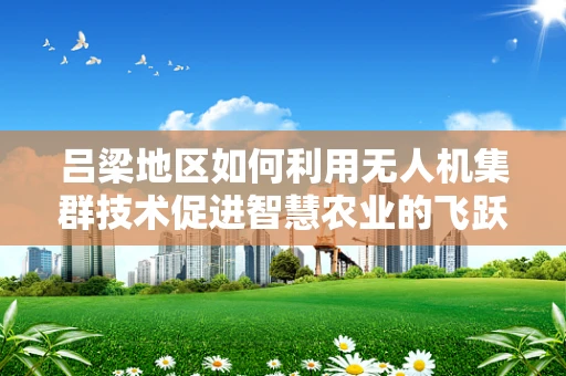 吕梁地区如何利用无人机集群技术促进智慧农业的飞跃发展？