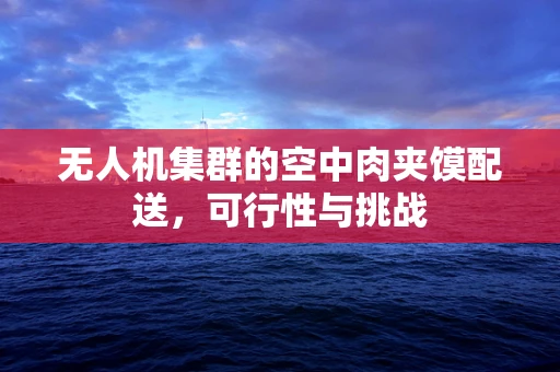 无人机集群的空中肉夹馍配送，可行性与挑战