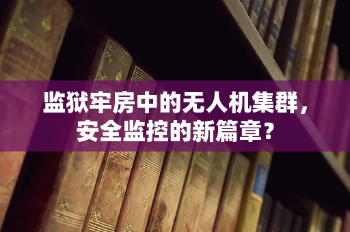 监狱牢房中的无人机集群，安全监控的新篇章？