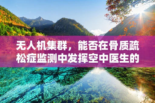 无人机集群，能否在骨质疏松症监测中发挥空中医生的作用？