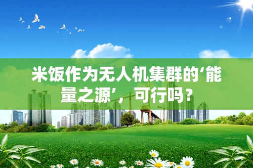米饭作为无人机集群的‘能量之源’，可行吗？