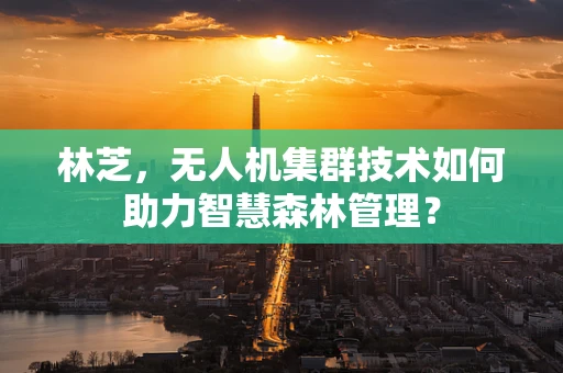 林芝，无人机集群技术如何助力智慧森林管理？
