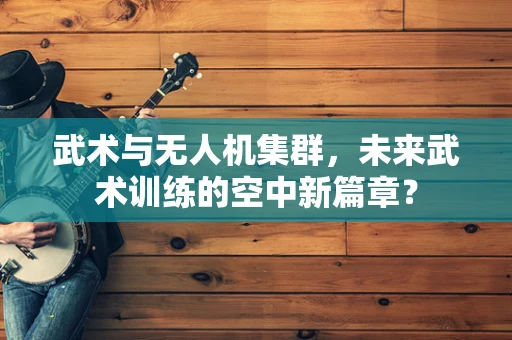 武术与无人机集群，未来武术训练的空中新篇章？