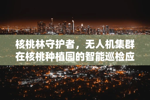 核桃林守护者，无人机集群在核桃种植园的智能巡检应用挑战
