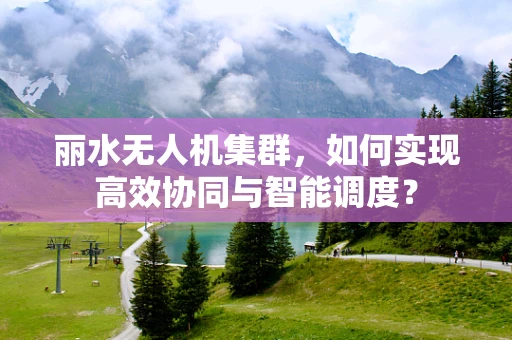 丽水无人机集群，如何实现高效协同与智能调度？