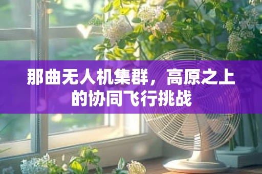 那曲无人机集群，高原之上的协同飞行挑战