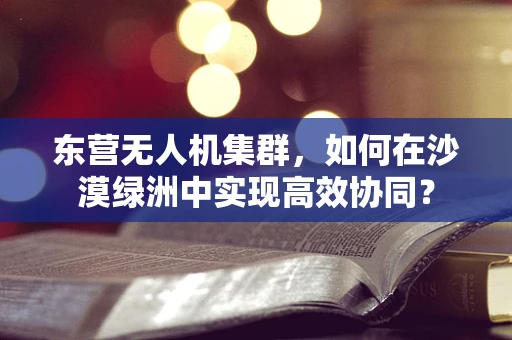东营无人机集群，如何在沙漠绿洲中实现高效协同？
