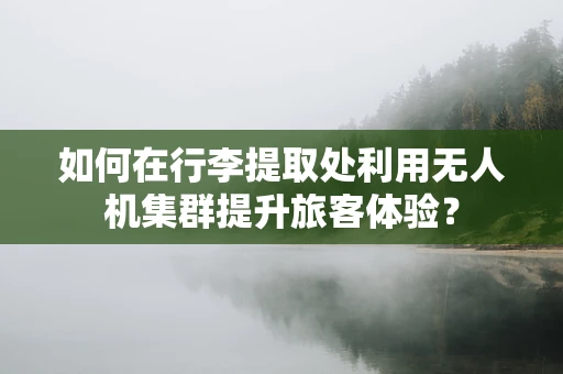 如何在行李提取处利用无人机集群提升旅客体验？