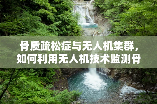 骨质疏松症与无人机集群，如何利用无人机技术监测骨骼健康？