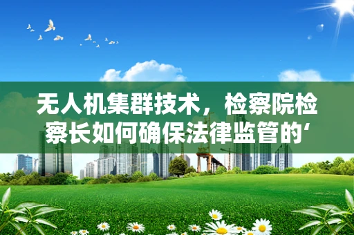 无人机集群技术，检察院检察长如何确保法律监管的‘空地无缝’？