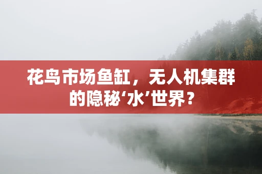 花鸟市场鱼缸，无人机集群的隐秘‘水’世界？