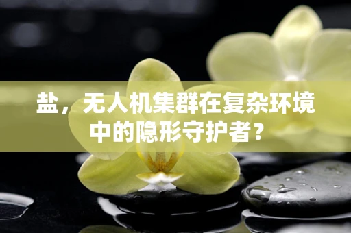 盐，无人机集群在复杂环境中的隐形守护者？