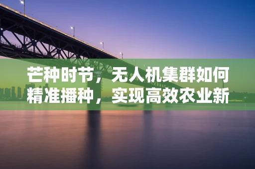 芒种时节，无人机集群如何精准播种，实现高效农业新篇章？