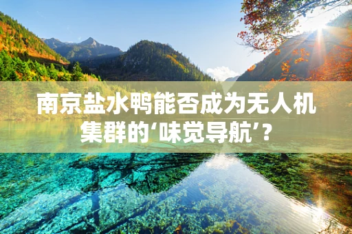 南京盐水鸭能否成为无人机集群的‘味觉导航’？