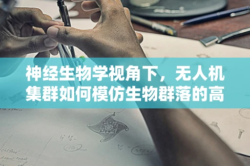 神经生物学视角下，无人机集群如何模仿生物群落的高效协作？