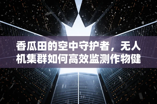 香瓜田的空中守护者，无人机集群如何高效监测作物健康？