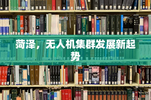 菏泽，无人机集群发展新起势