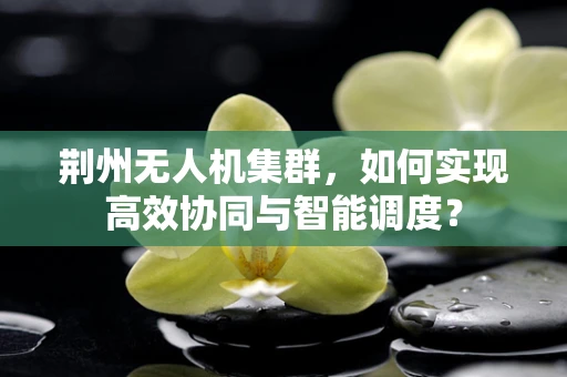 荆州无人机集群，如何实现高效协同与智能调度？