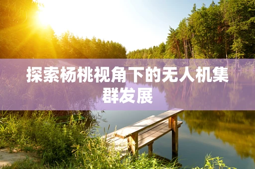 探索杨桃视角下的无人机集群发展