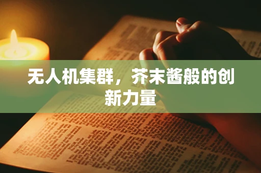 无人机集群，芥末酱般的创新力量