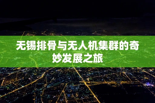 无锡排骨与无人机集群的奇妙发展之旅