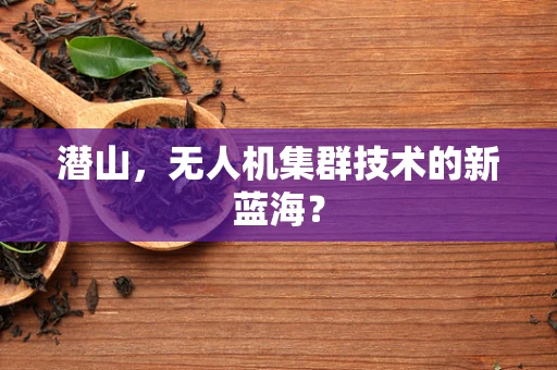 潜山，无人机集群技术的新蓝海？