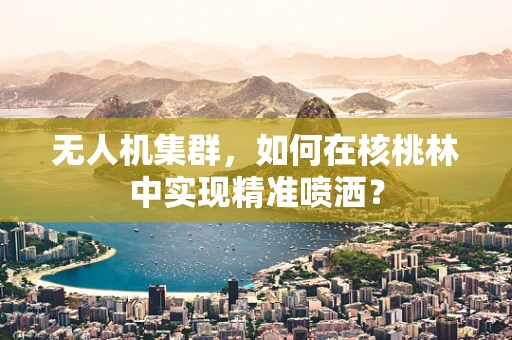 无人机集群，如何在核桃林中实现精准喷洒？