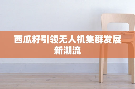 西瓜籽引领无人机集群发展新潮流