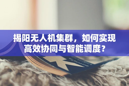 揭阳无人机集群，如何实现高效协同与智能调度？