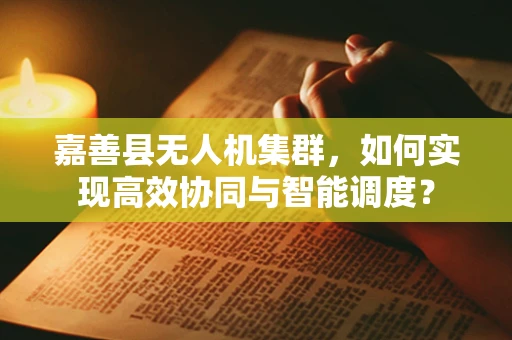 嘉善县无人机集群，如何实现高效协同与智能调度？