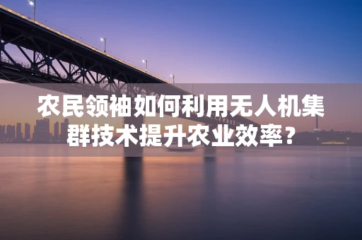 农民领袖如何利用无人机集群技术提升农业效率？