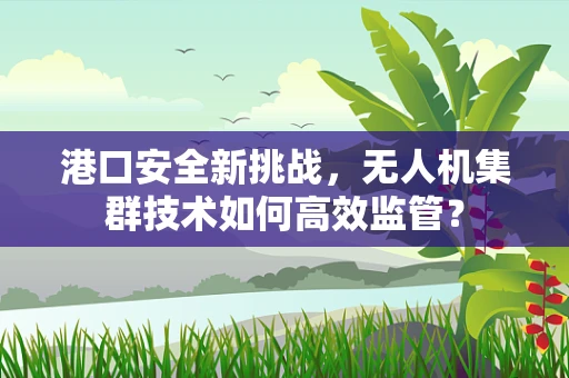 港口安全新挑战，无人机集群技术如何高效监管？