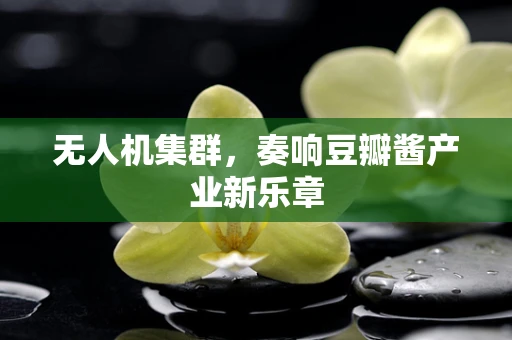 无人机集群，奏响豆瓣酱产业新乐章