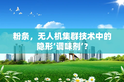 粉条，无人机集群技术中的隐形‘调味剂’？