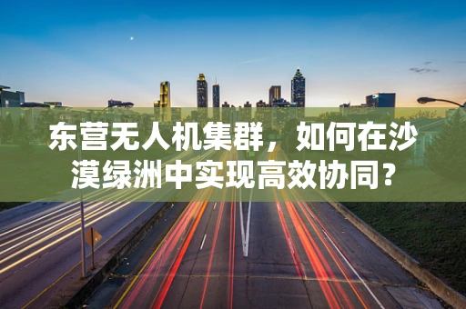 东营无人机集群，如何在沙漠绿洲中实现高效协同？
