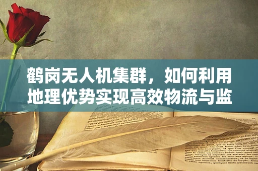 鹤岗无人机集群，如何利用地理优势实现高效物流与监测？