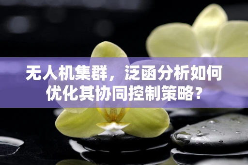 无人机集群，泛函分析如何优化其协同控制策略？