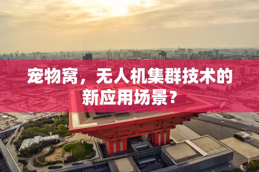 宠物窝，无人机集群技术的新应用场景？