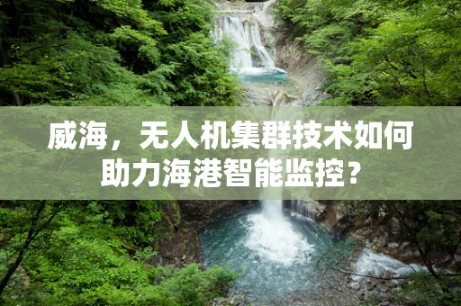 威海，无人机集群技术如何助力海港智能监控？