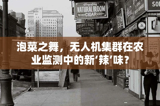 泡菜之舞，无人机集群在农业监测中的新‘辣’味？