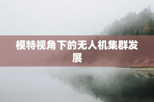 模特视角下的无人机集群发展