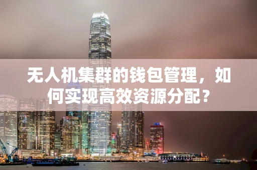 无人机集群的钱包管理，如何实现高效资源分配？