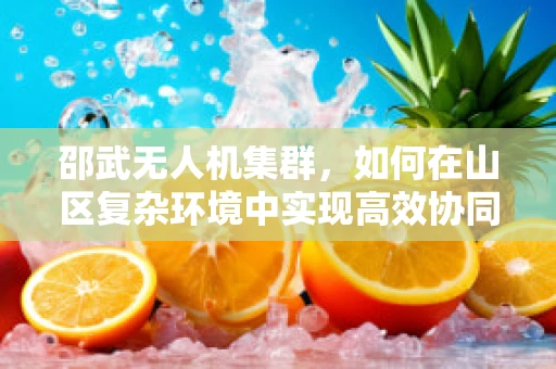 邵武无人机集群，如何在山区复杂环境中实现高效协同？