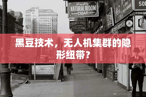 黑豆技术，无人机集群的隐形纽带？