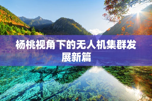 杨桃视角下的无人机集群发展新篇