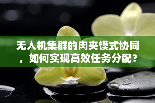 无人机集群的肉夹馍式协同，如何实现高效任务分配？