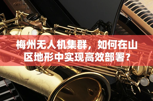 梅州无人机集群，如何在山区地形中实现高效部署？