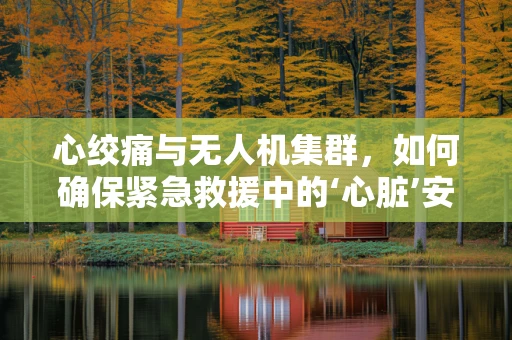 心绞痛与无人机集群，如何确保紧急救援中的‘心脏’安全？